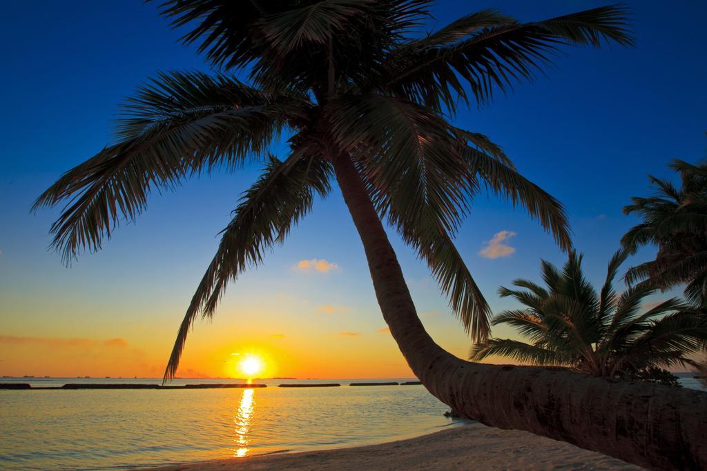 Kurumba Maldives Vihamanaafushi Buitenkant foto Sunset at the beach
